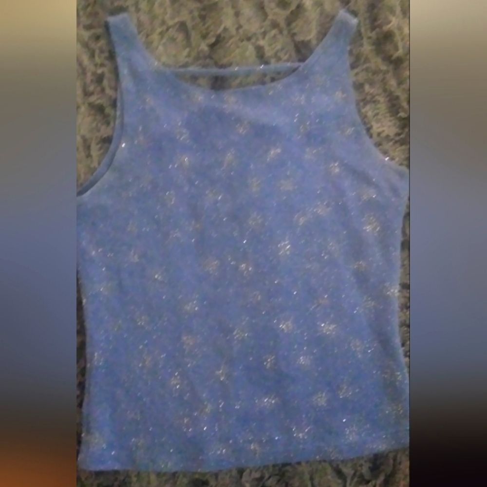 Silver glitter blue top